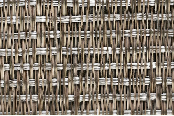 2.-fotor-enhance-20251022111100